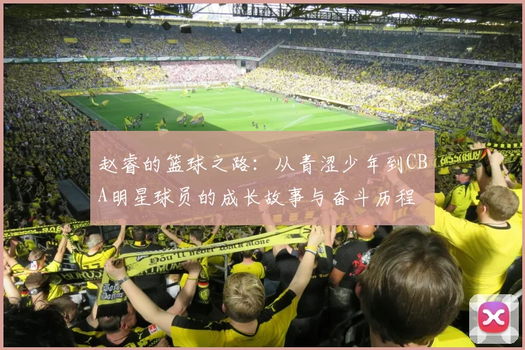 赵睿的篮球之路：从青涩少年到CBA明星球员的成长故事与奋斗历程